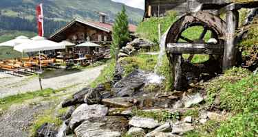 Farmkehralm