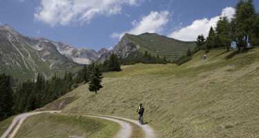 Von Trins über die Zwieselmähder - Loosjoch - Blaserhütte