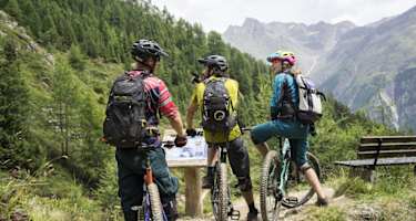 Singletrail Leiterberg