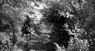 Entlang der Piave