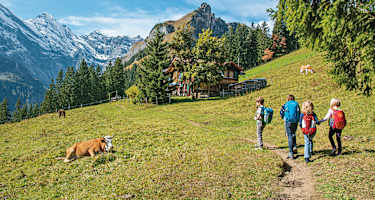 Begegnungen am Wegesrand zwischen Mürren und Spielboden.
