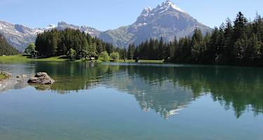 Arnisee