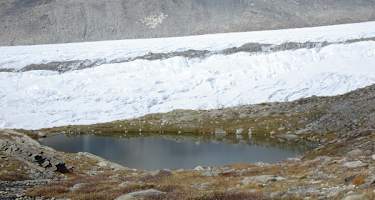 Mit dem Aletschgletscher auf Tuchfühlung