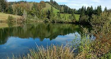Bachtelweiher