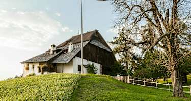 Bienenwanderung