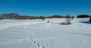 Wintersport am Tieringer Hörnle