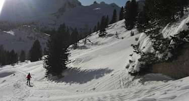 Im Reich der Fanes