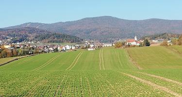 Blick auf dem Böhmerwald