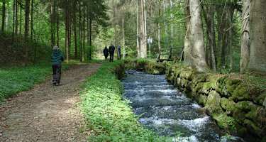 Die Steilstufe am Schwemmkanal