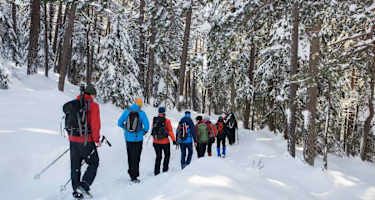 Seefeld Winterweitwanderweg