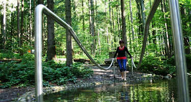 Die Michaelsquelle mit Kneippbecken