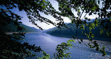 Rappbodestausee