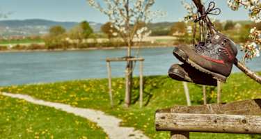Ybbs an der Donau