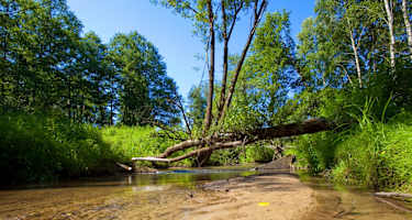Sauberes Wasser