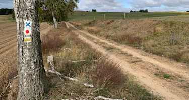 Feldweg bei Peetzig