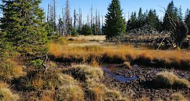 Nationalpark Bayerischer Wald