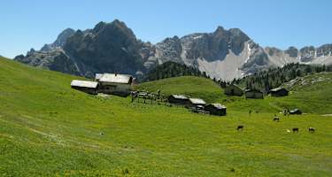 Die Hochalpenhütte