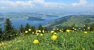 Herrliche Aussicht auf den Zugersee