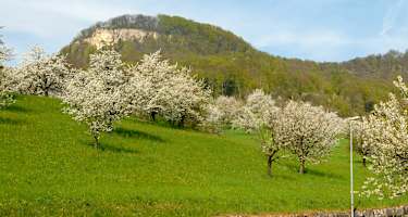 Sissacher Fluh