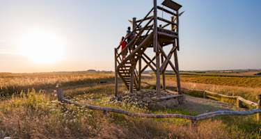 Der Aussichtsturm am Hirnberg