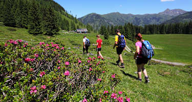 Wanderung zur Hirschgrubenalm
