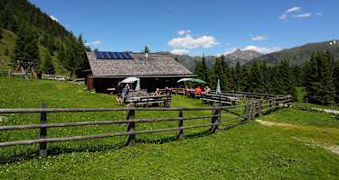 Die Hirschgrubenalm