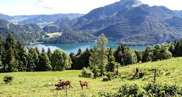 Aussicht von der Lärchenhütte