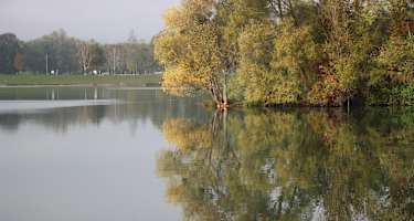 Kleine Halbinsel im Pleschinger See