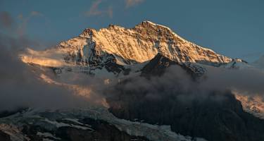 Mammut Archiv