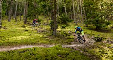 Freiberger Alm Tour