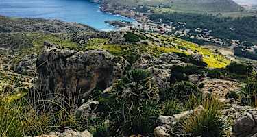 Aussicht auf die Cala Sant Vincenç