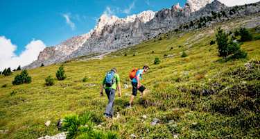 Natur entdecken