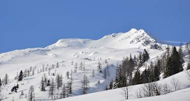 Der Mandlkogel