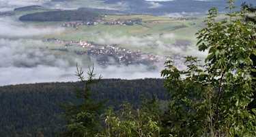 Goldsteig Zuweg Nr. 12: Von Neukirchen zur Forstdiensthütte Hohenbogen