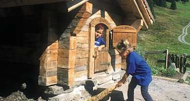 In der Welt der Haslizwerge