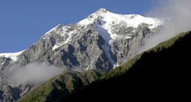König Ortler