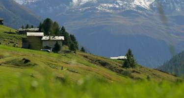 Alpine Landschaft