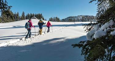 Schneeschuhwandern für Anfänger