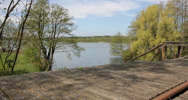 Blick von der Draisinestrecke auf den Lychensee