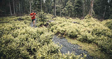 Swiss Trailrun Pilatus