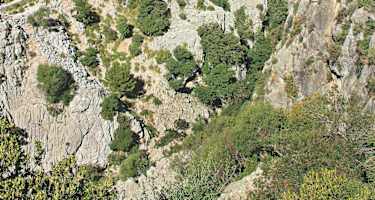 Die Tunnelroute (Variante) durchsticht einen felsigen Bergrücken der Tramuntana (auf dem Bild links).