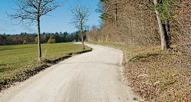 Nur kurz gehen wir auf der einzigen öffentlichen Straße über den Randen.