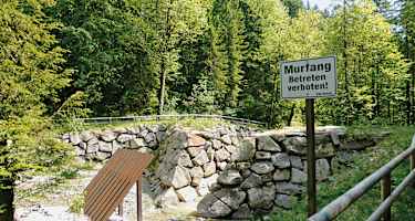 Murfang am Deiningbach.