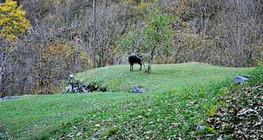 Sonlerto - Wasserfall Foroglio - Bignasco