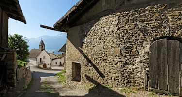 Tanas