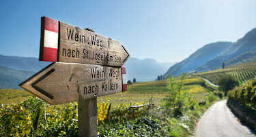 Weinweg Kaltern