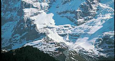 Jungfrau Nordflanke
