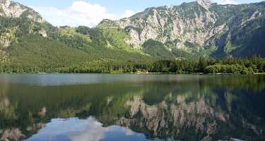 Offensee