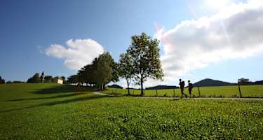 Ossiacher Tauern