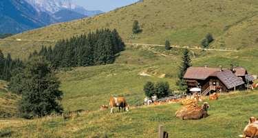 anlaufalm-grosse-hintergebirgsrunde-15992-0